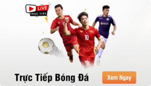banner-the-thao